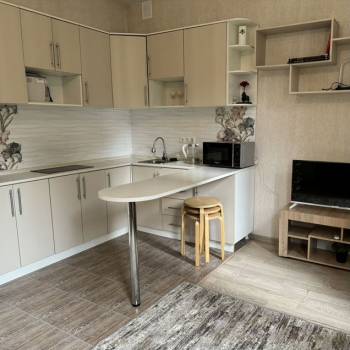 Продается 1-комнатная квартира, 25,3 м²