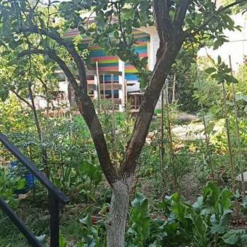 Сдается Дом, 20 м²