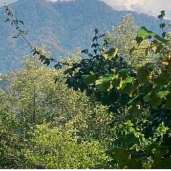 Продается Дом, 20 м²