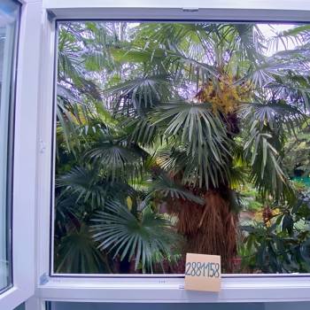 Сдается Многокомнатная квартира, 65 м²