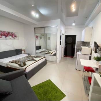 Сдается 1-комнатная квартира, 24,4 м²