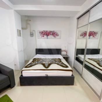 Сдается 1-комнатная квартира, 24,4 м²