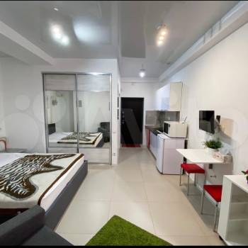 Сдается 1-комнатная квартира, 24,4 м²