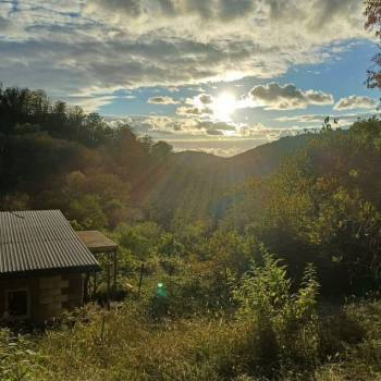 Продается Участок, 480 м²