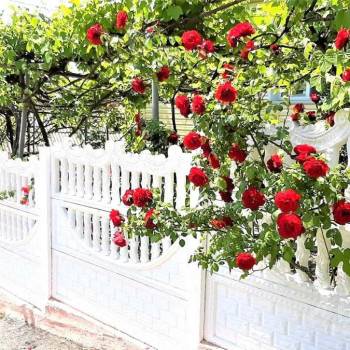 Продается Дом, 123,5 м²