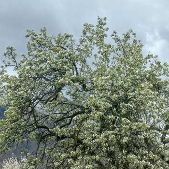 Сдается Дом, 50 м²