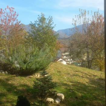 Сдается Дом, 50 м²