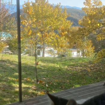 Сдается Дом, 50 м²