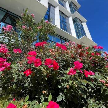 Сдается 1-комнатная квартира, 23 м²