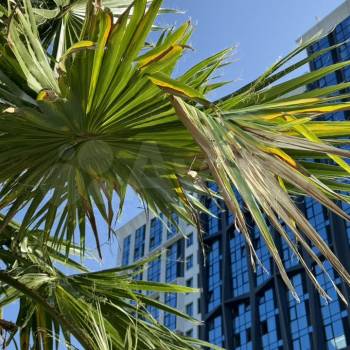 Сдается 1-комнатная квартира, 23 м²