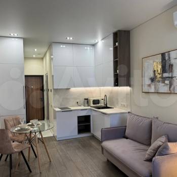 Продается 1-комнатная квартира, 26,6 м²