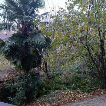 Сдается 2-х комнатная квартира, 52 м²