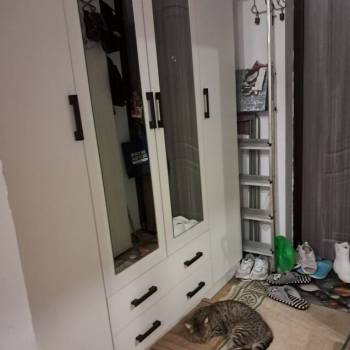 Продается 1-комнатная квартира, 24 м²