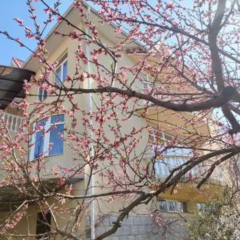 Продается Дом, 488 м²