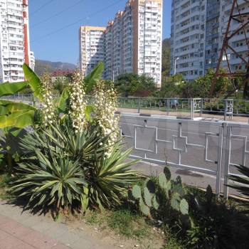 Продается 3-х комнатная квартира, 76 м²