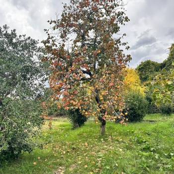 Продается Дом, 200 м²