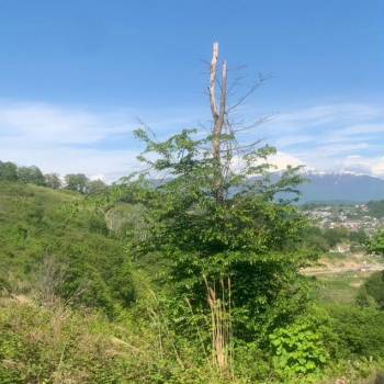 Продается Участок, 360 м²