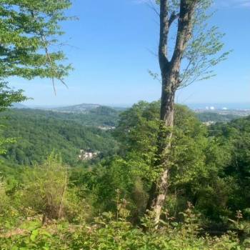 Продается Участок, 360 м²