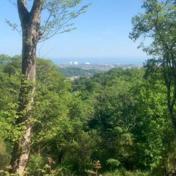 Продается Участок, 360 м²