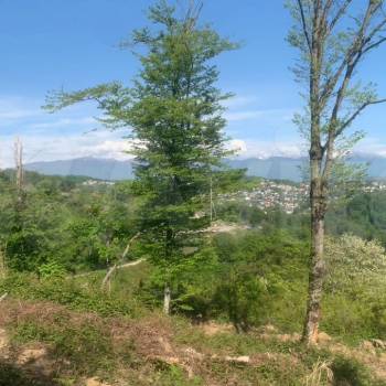 Продается Участок, 360 м²