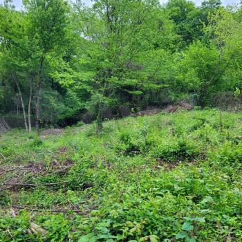 Продается Участок, 710 м²