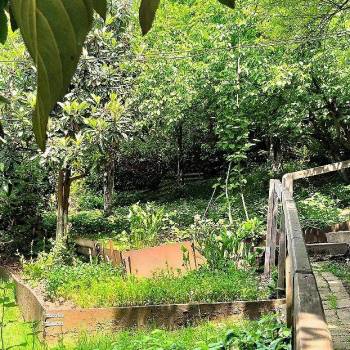 Продается Дом, 55,3 м²