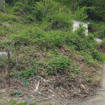 Продается Участок, 700 м²