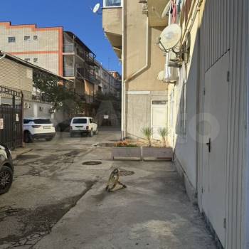 Сдается Нежилое помещение, 59,5 м²