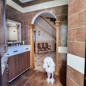 Продается Многокомнатная квартира, 155 м²