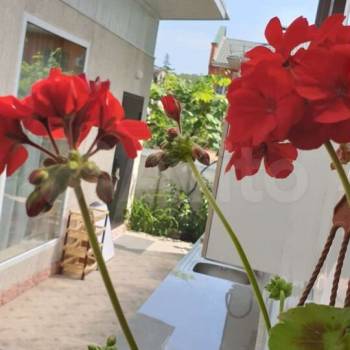 Сдается Комната, 20 м²