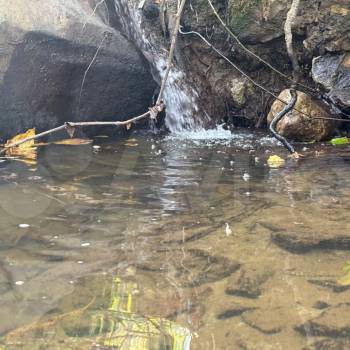 Продается Участок, 540 м²