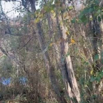 Продается Участок, 540 м²