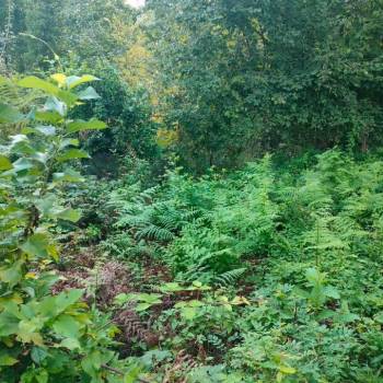 Продается Участок, 540 м²