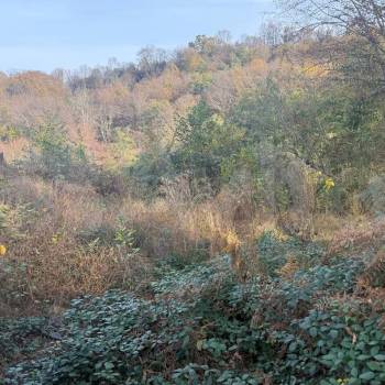 Продается Участок, 540 м²