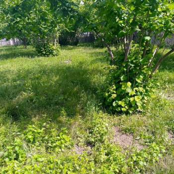 Продается Участок, 1000 м²