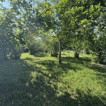 Продается Участок, 1000 м²