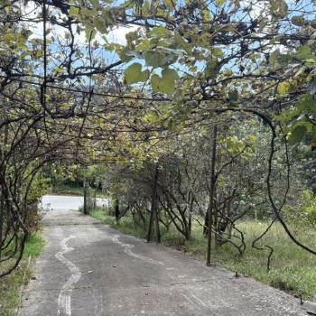 Продается Участок, 1060 м²