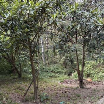 Продается Участок, 1060 м²