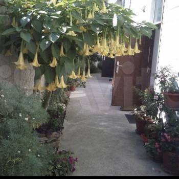 Сдается Комната, 20 м²