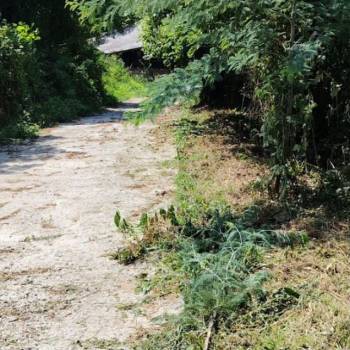 Продается Участок, 1600 м²