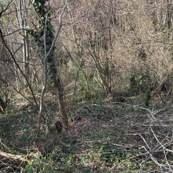 Продается Участок, 840 м²