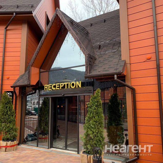 Фотография №2