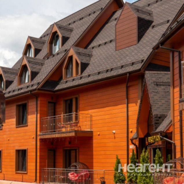 Фотография №4