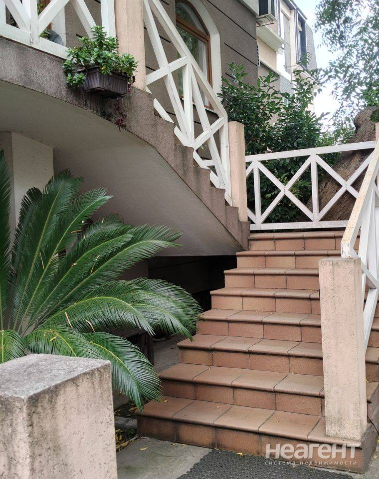 Фотография №4