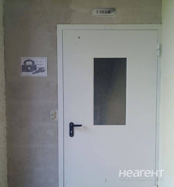 Фотография №4