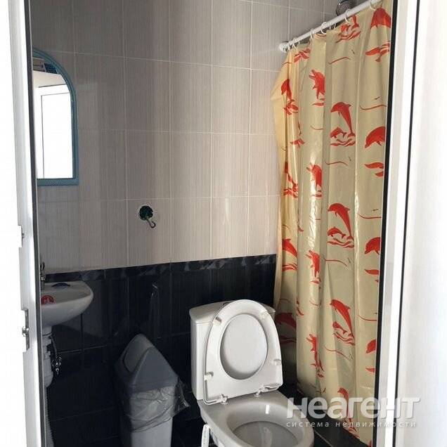 Фотография №5