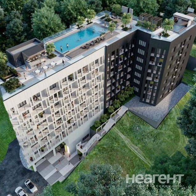 Фотография №3