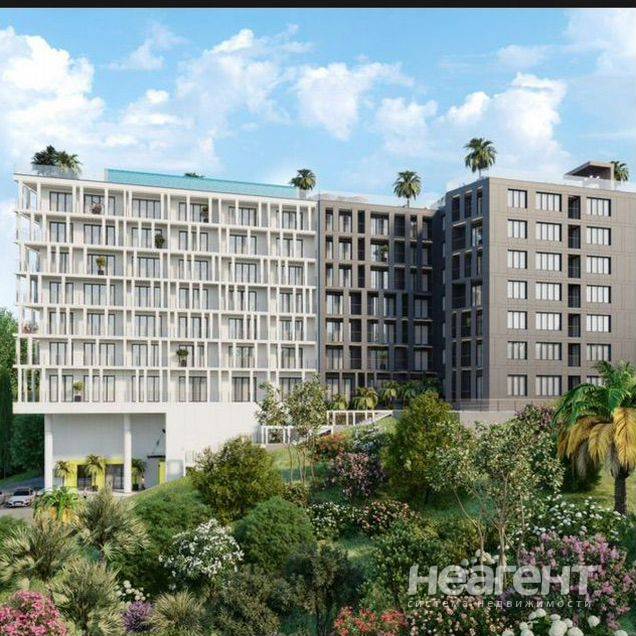 Фотография №5