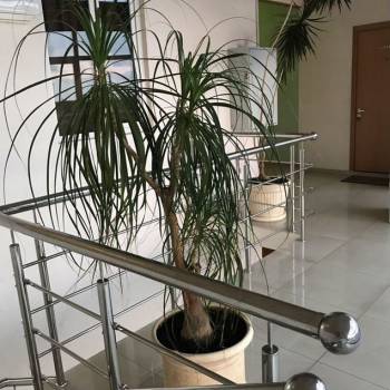 Сдается Многокомнатная квартира, 60 м²