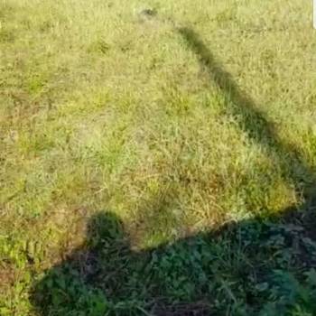 Продается Участок, 490 м²